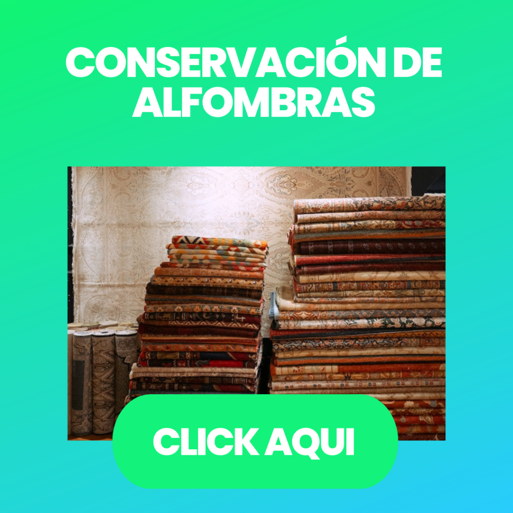 Conservacion de Alfombras