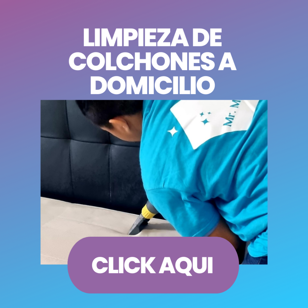 Limpieza de colchones en tu region